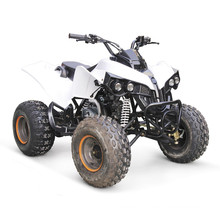 ДЕШЕВЫЕ QUAD EPA ATV ГОНКИ 125CC